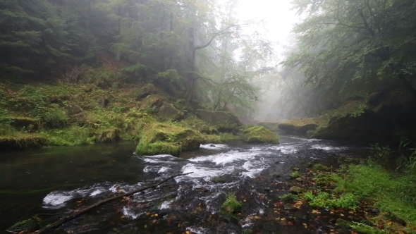 River Kamenice In Autumn, Bohemian Switzerland