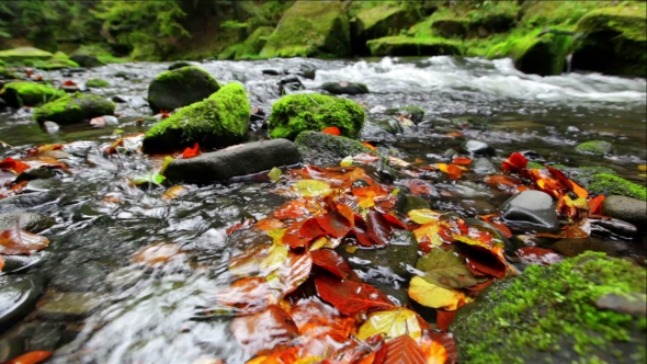 River Kamenice In Autumn, Bohemian Switzerland