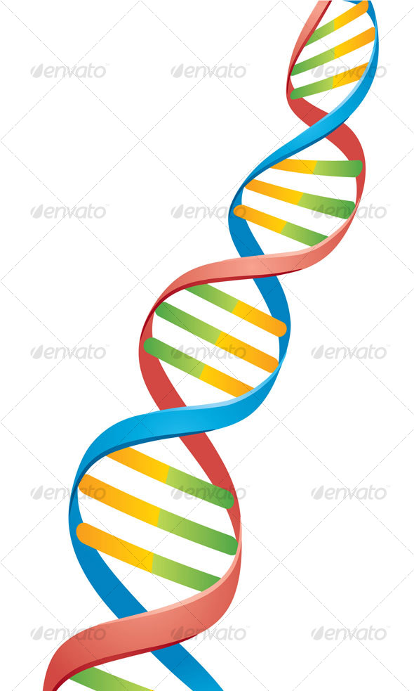 Double Helix DNA Strand - Health/Medicine Conceptual