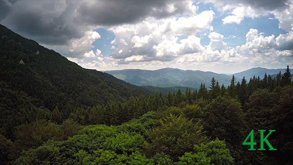 Over the Wild Forest With Spectacular Clouds alt