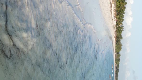 Vertical Video of the Ocean Near the Coast of Zanzibar Tanzania Aerial View alt