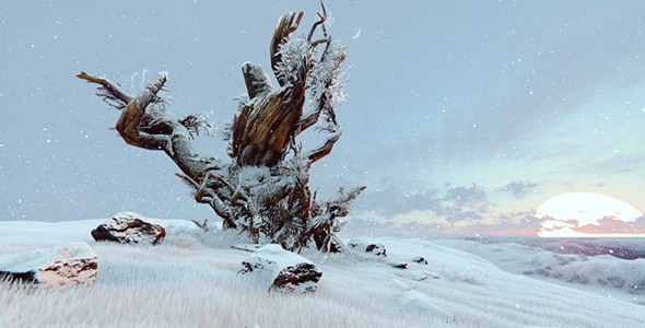 The Old Tree on the Hill alt