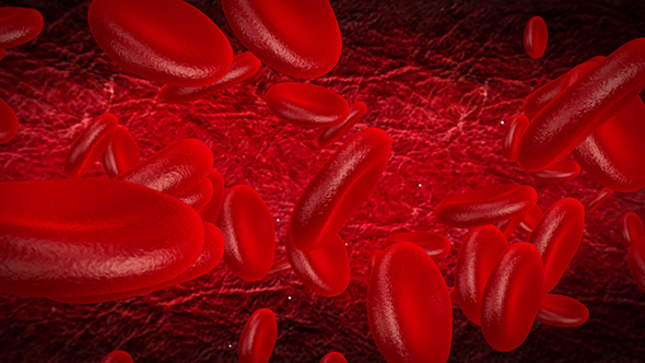 Red Blood Cells In An Artery