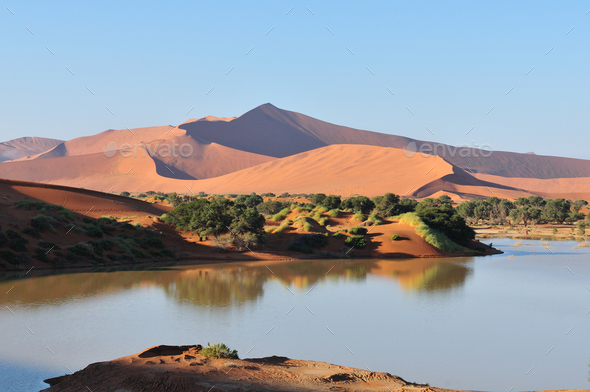 A flooded Sossusvlei in the Namib Desert - Stock Photo - Images