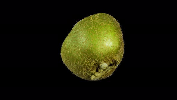Rotating Isolated Kiwi Slice alt