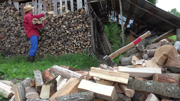 Garden Worker Man Guy Stack Chopped Firewood Near Woodshed. 