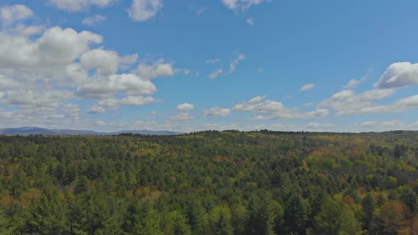 Pocono Mountains Summer Green Grass and Blue Sky Landscape alt