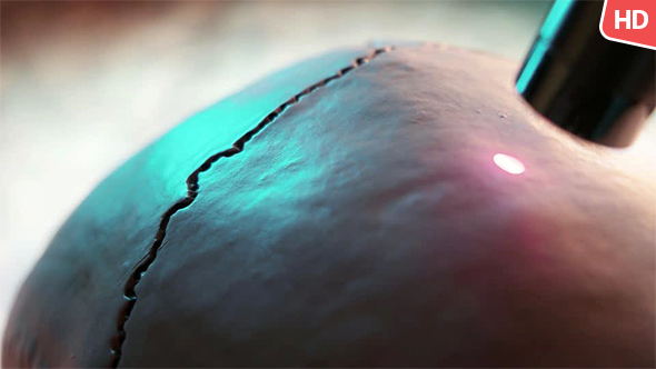 Human Skull 01011 alt