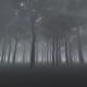 Dark Forest - VideoHive Item for Sale