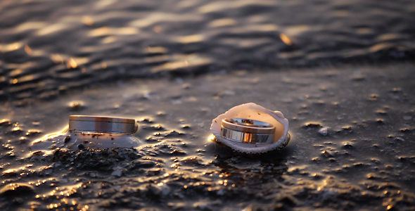 Wedding Rings Seashore alt