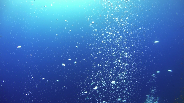 Air Bubbles In The Blue Water
