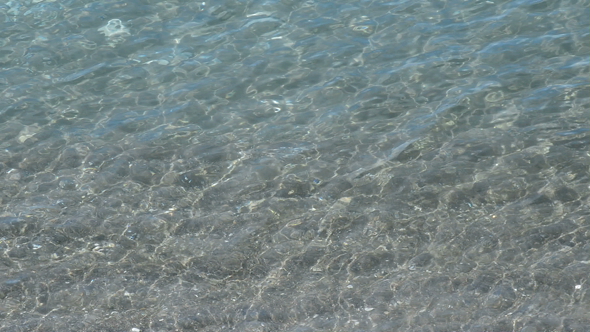 Clear Water Beach Moving alt