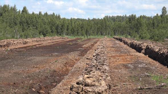 Peatland Or Turf Extraction