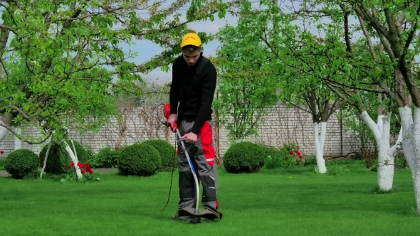 Gardener Cutting Grass With Trimmer alt