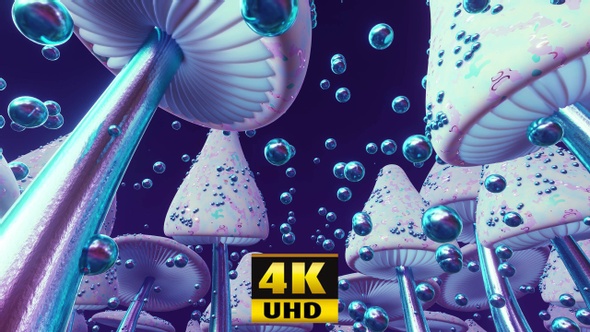 Mushroom Fantasy 4K by OlScher | VideoHive