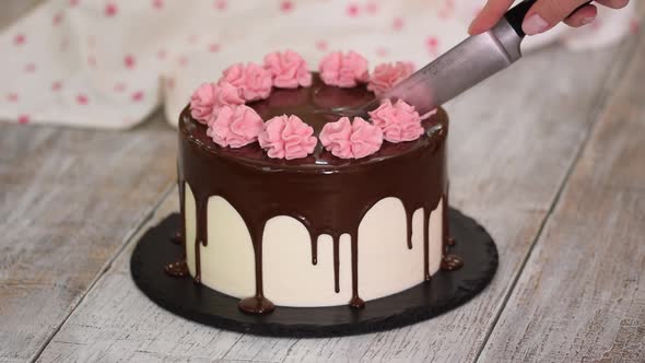 Closeup Cut the Beautiful Cake with a Knife Into Slices