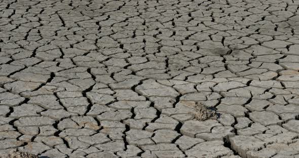 Dryness in the Camargue, France alt