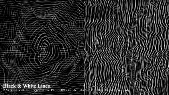 Black And White Lines