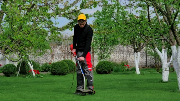 Gardener Cutting Grass With Trimmer alt