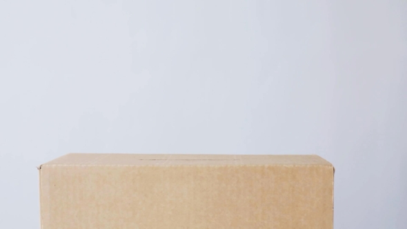 Man Putting His Vote Into Ballot Box On Election alt