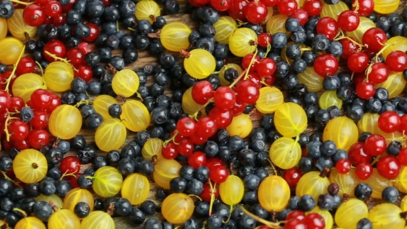 Many Different Berries