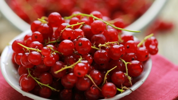 Red Currant Berry 