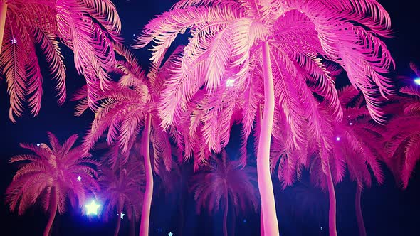 Pink Plastic Palm Trees Alley