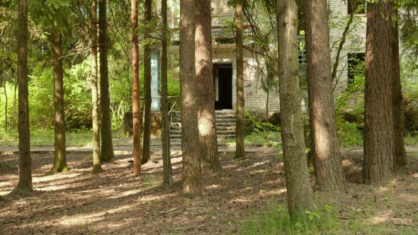 Abandoned House in the Forest alt