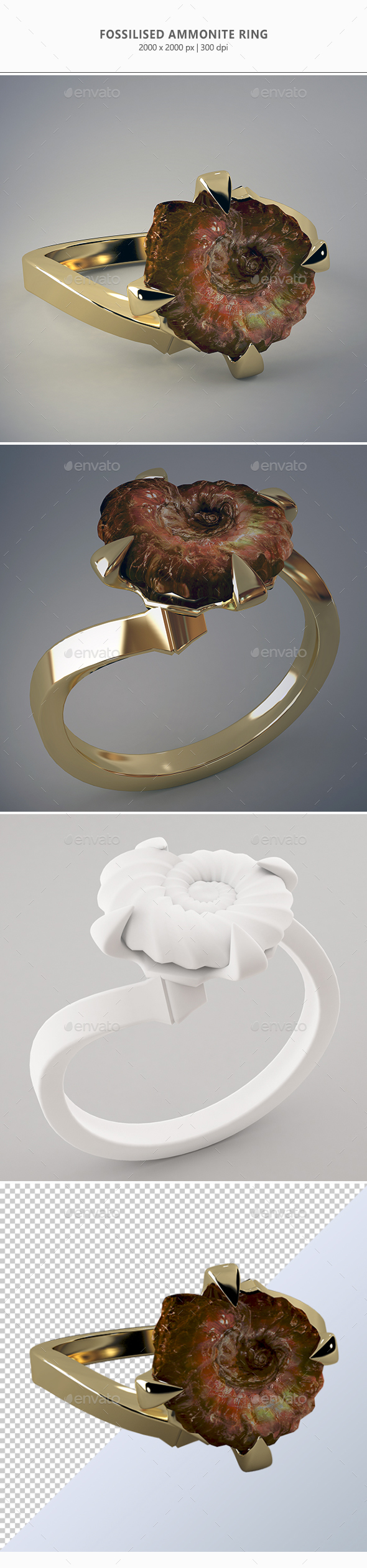 Fossilised Ammonite Ring