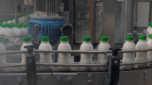 Dairy Products Plant - White Yogurt Bottles On a Conveyor
