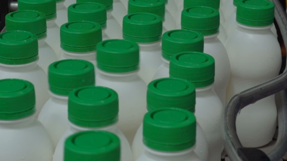 Lots Of Plastic Bottles With Milk And Green Caps Move By Conveyor