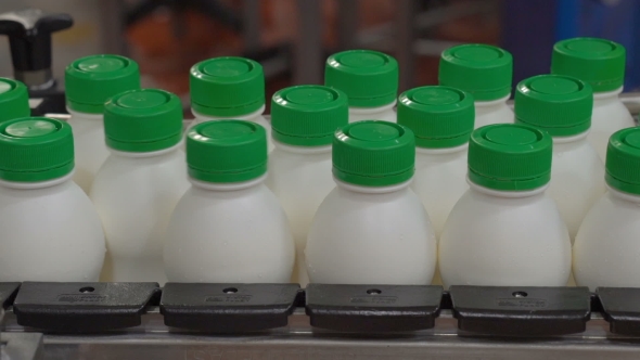 Conveyor Belt In a Milk Factory With Yogurt Bottles