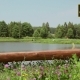 Empty Bench By a Pond, Surrounded By Forests And Fields On a Sunny Day - VideoHive Item for Sale