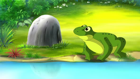 Big Green frog near the pond HD