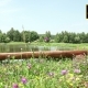 Empty Bench By a Pond, Surrounded By Forests And Fields On a Sunny Day - VideoHive Item for Sale