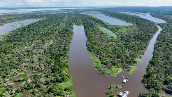 Stunning landscape of Amazon Forest at Amazonas State Brazil. alt