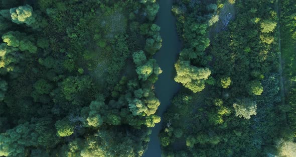 4K Aerial view of river and beautiful  forest. Kamchia River in Bulgaria alt