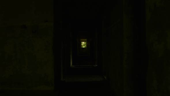 Walking into the Abandoned Building alt