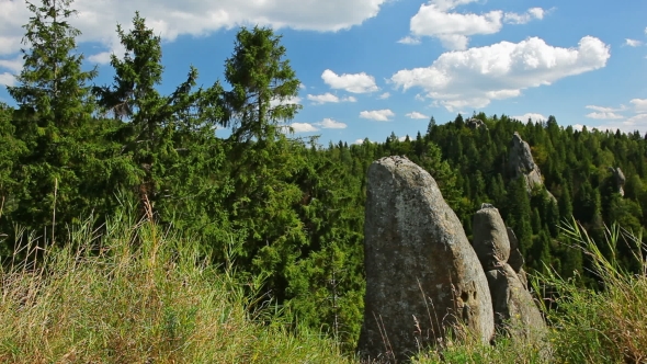 Carpathian Scenic Landscape With Rocks, Fir Forest And Grass Flapping On The Wind