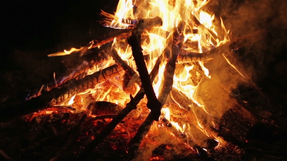 Charming Bonfire Flame Blazing In The Night, Vertical Panning Camera Motion