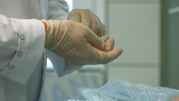 Performing Laboratory Test In Laboratory alt