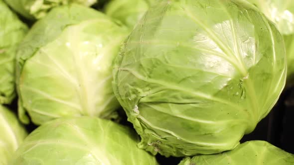 Close Up Video of a Lot of Great Tasty Fresh Green Cabbage Swings Lying on the Counter Before Being