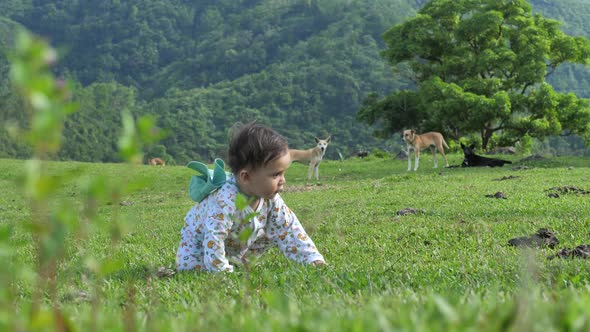 Walk in the Fresh Air with Favorable Conditions for the Child