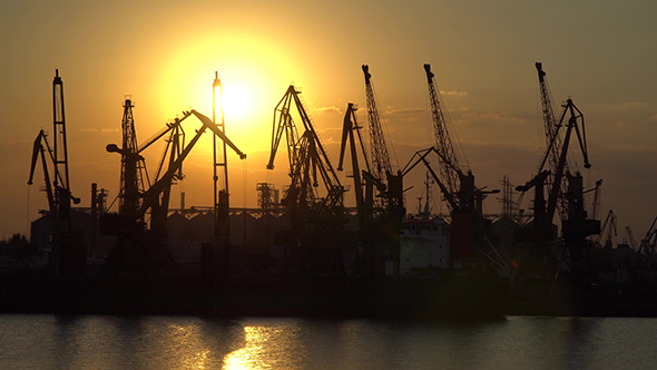 The Outlines of the Cranes in the Harbor Against the Setting Sun
