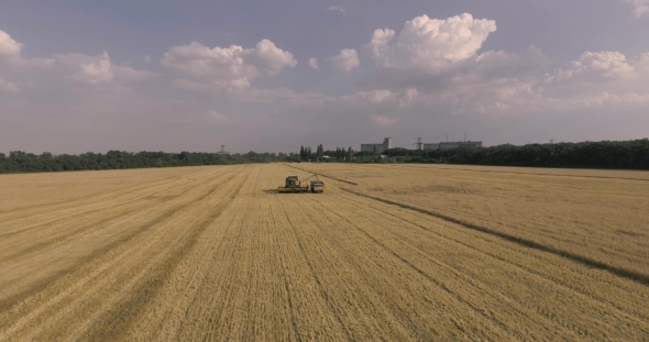 Harvester On The Wheat Field