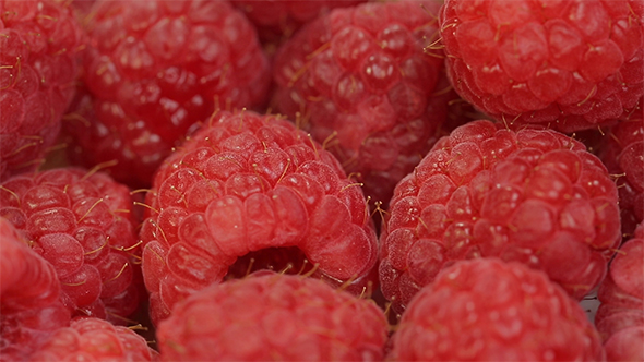Raspberry