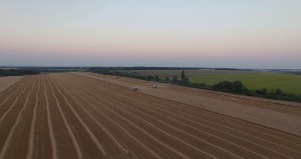Harvesters Tresh Wheat Aerial View