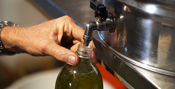 Olive Oil Bottling