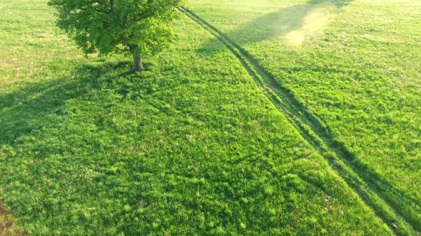 Aerial View Of Suv Car Moving On Road In Green Fields