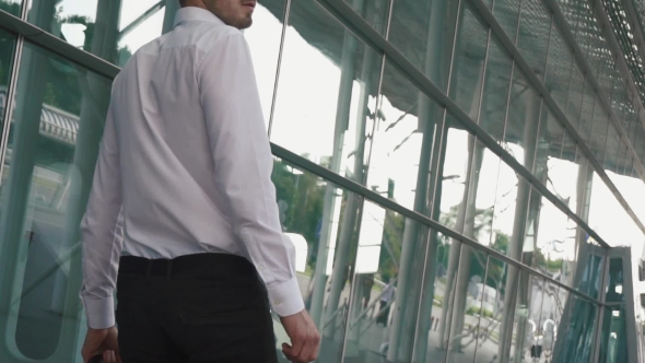 Rear View Of Handsome Businessman With Suitcase In Modern Airport Terminal Glass Wall Background